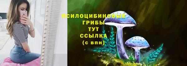 таблы Новокубанск