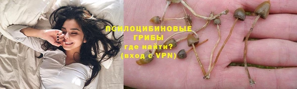 таблы Новокубанск