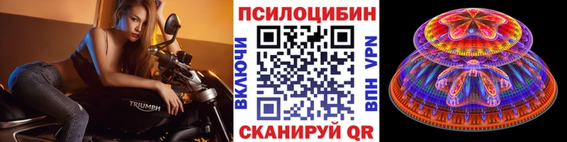 Галлюциногенные грибы Psilocybine cubensis где купить наркоту Калуга