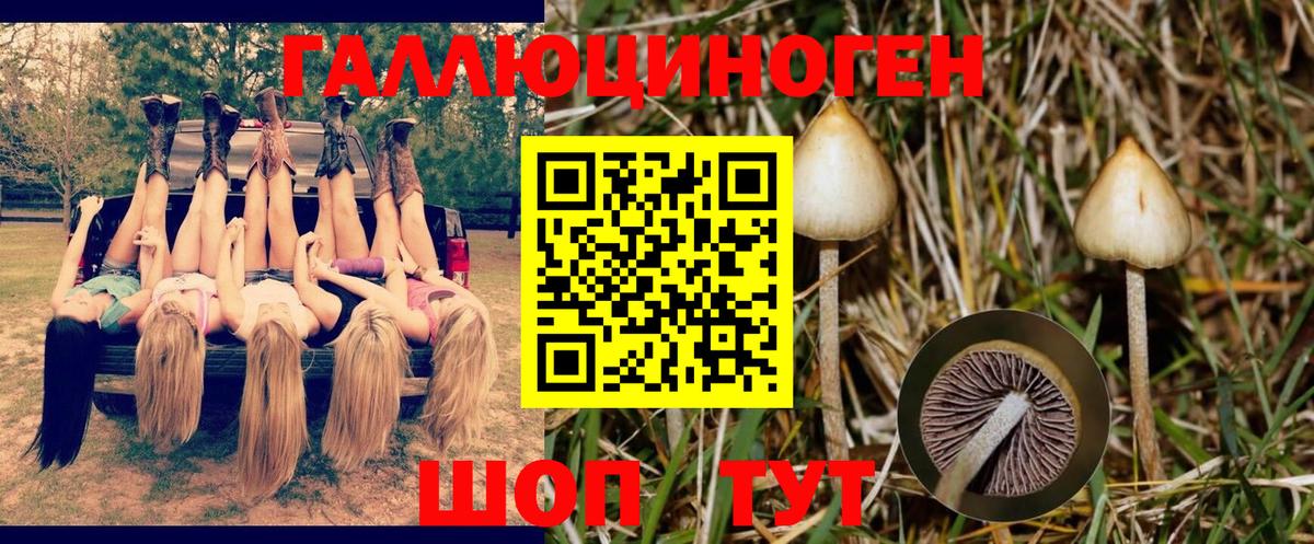 Калуга  Псилоцибиновые грибы Psilocybine cubensis  Вход с VPN  Галлюциногенные грибы MAGIC MUSHROOMS 