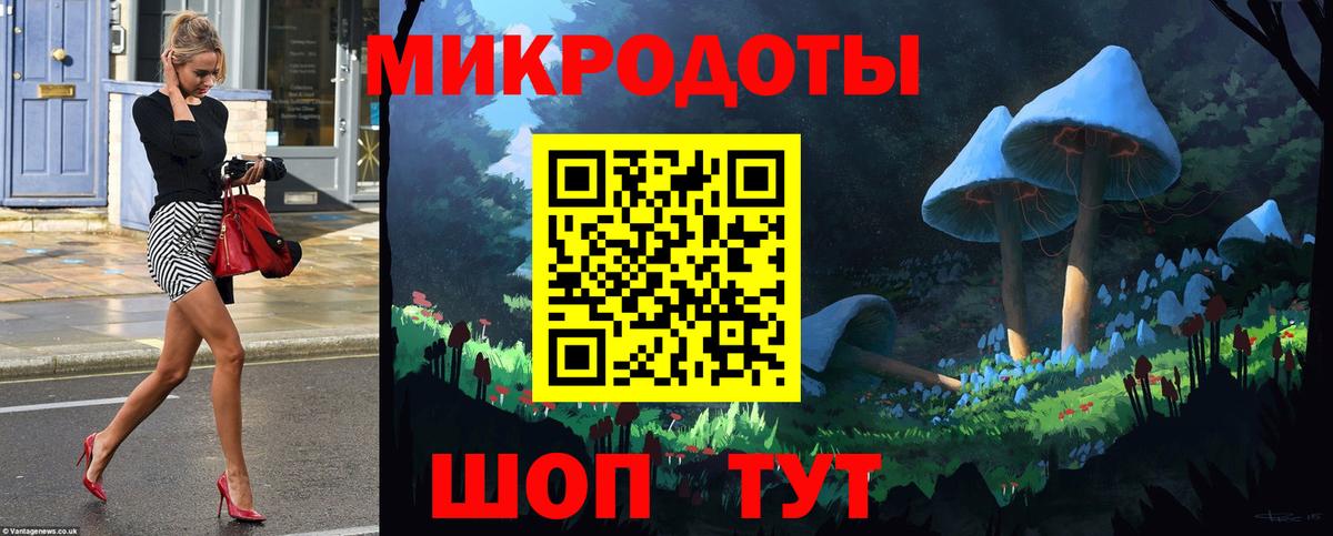 Галлюциногенные грибы Psilocybe Калуга
