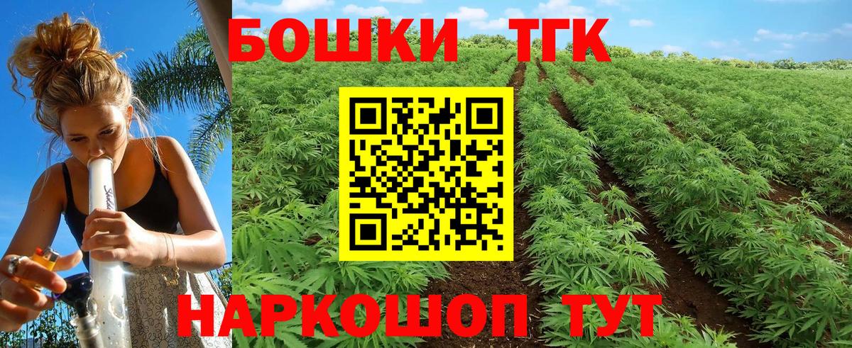 Бошки Шишки планчик Калуга